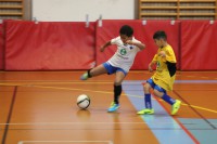 /album/bildgalleri%3a-omg%c3%a5ng-12/img-2499-jpg/